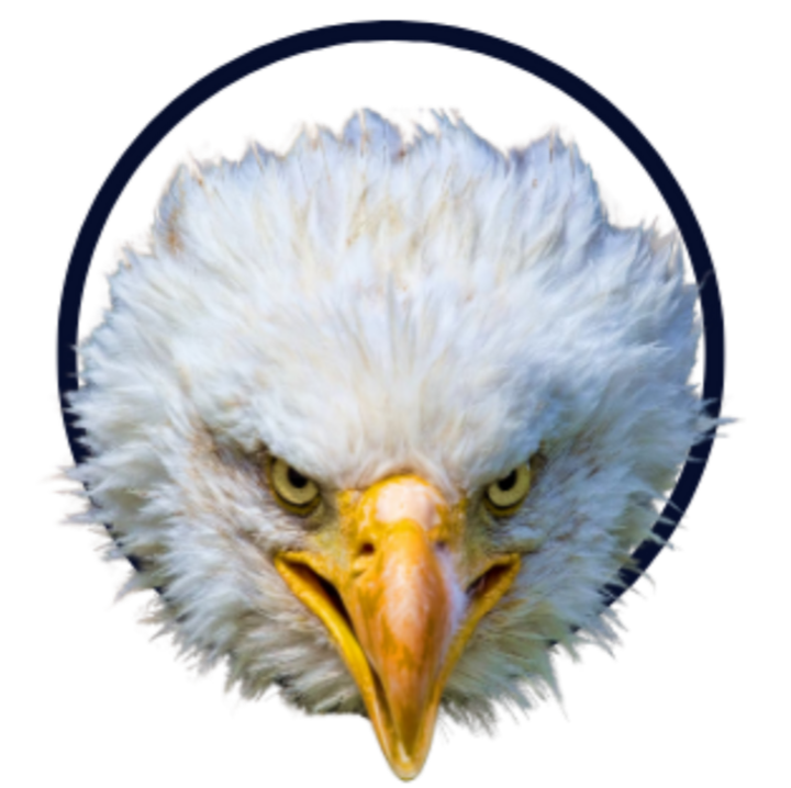 Empire216 Logo